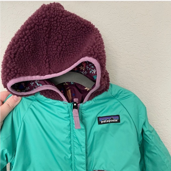 Patagonia Bunting - Picture 6 of 6